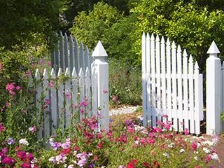 Plant for Economic Value