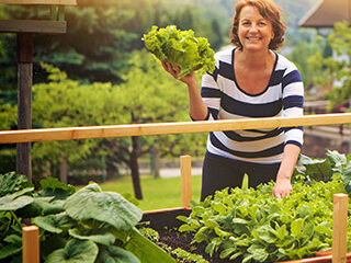 Plant for Better Health